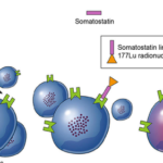 ITM gets equity to launch Phase III lead radiopharmaceutical ITM-11