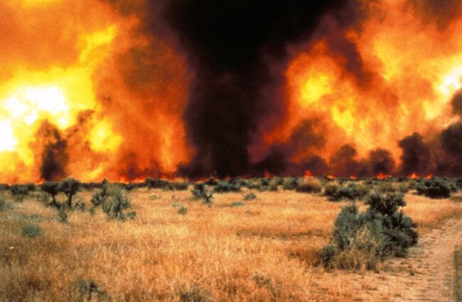 wildfire raging behind a field