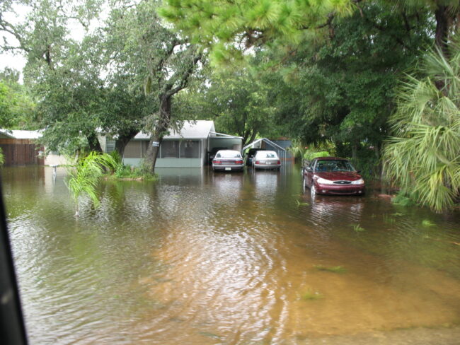 flooding from a tropical storm with cars and trees on water