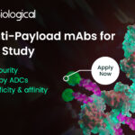 Anti-payload Antibodies: Facilitating ADC PK studies