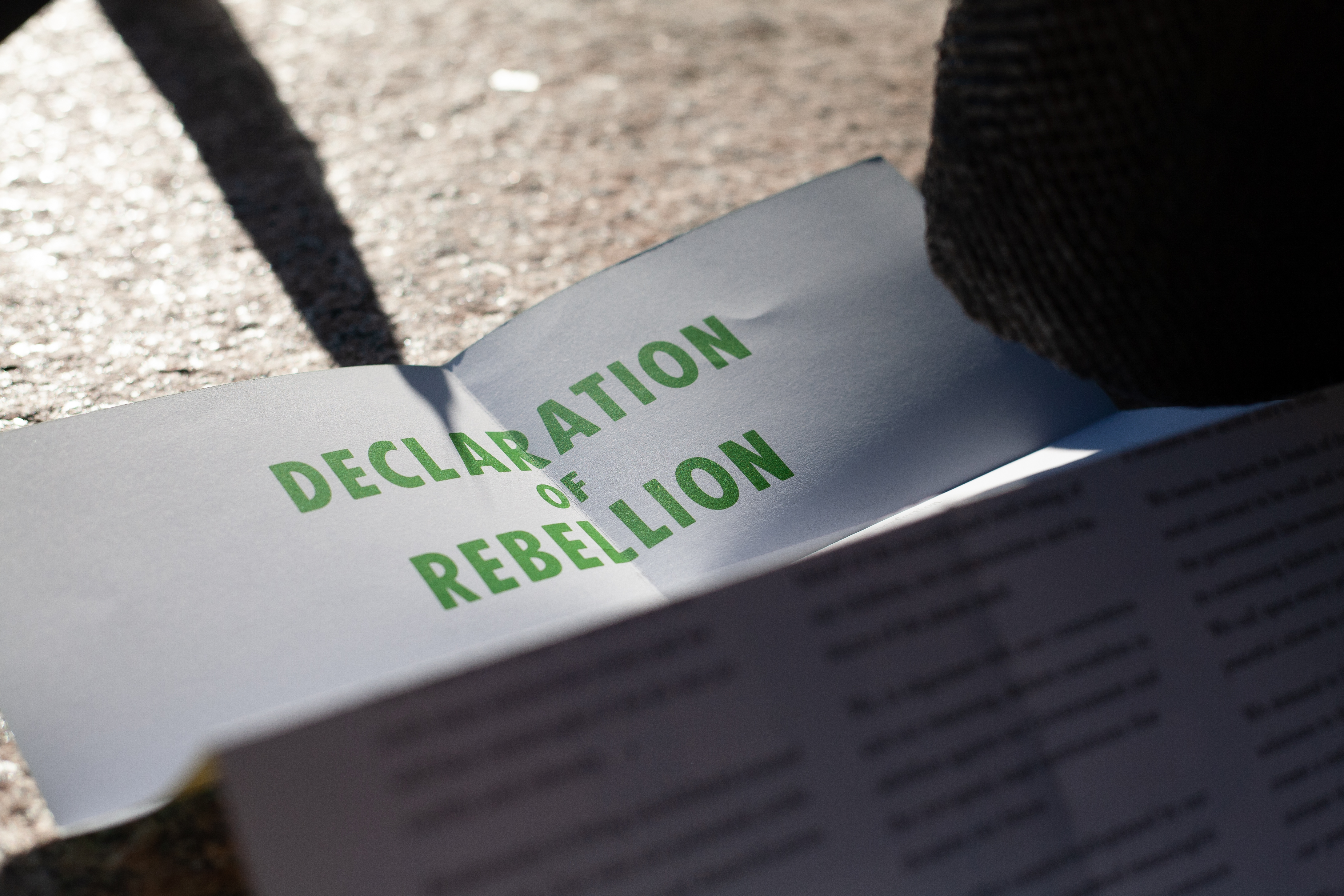 Declaration of Rebellion