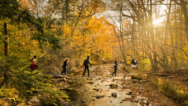 Students walk in a forest