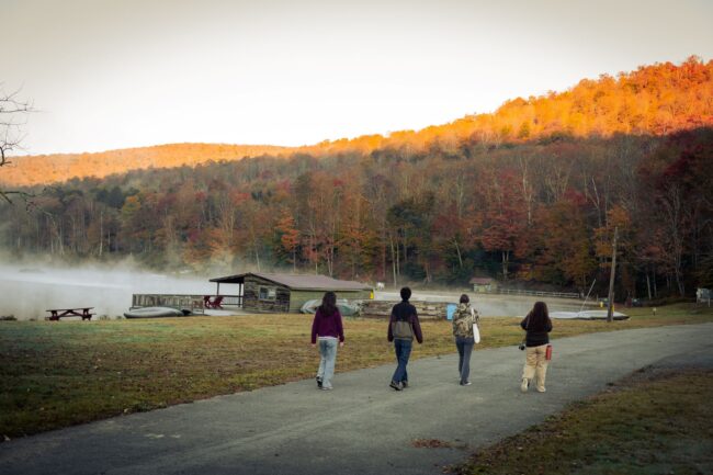 Four people walk along a road with forest in the background