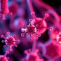 Harnessing Neddylation-Targeted Therapies to Usher in a New Era of Liver