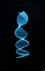 The past, present, and future of genome sequencing