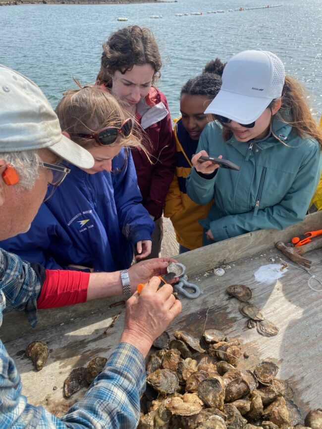 Students and instructor examine oysters