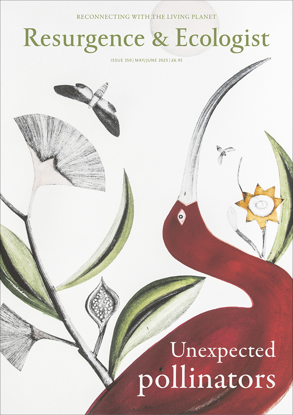 Magazine cover