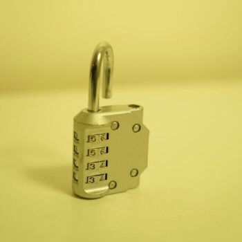 the power of TLR agonists