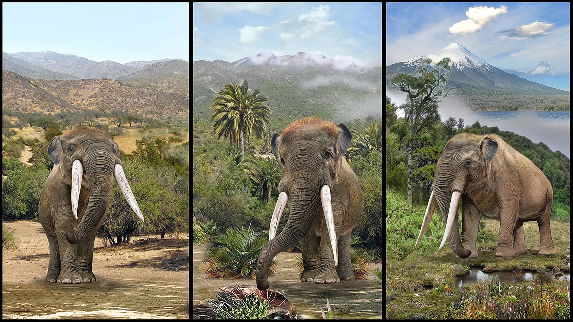 Fruit-eating mastodons? Ancient fossils confirm a long-lost ecological alliance