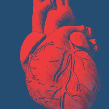 Lexeo to help launch spinout around RNA drugs for the heart