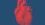 Lexeo to help launch spinout around RNA drugs for the heart