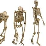 Mammals didn't walk upright until late—here's what fossils reveal