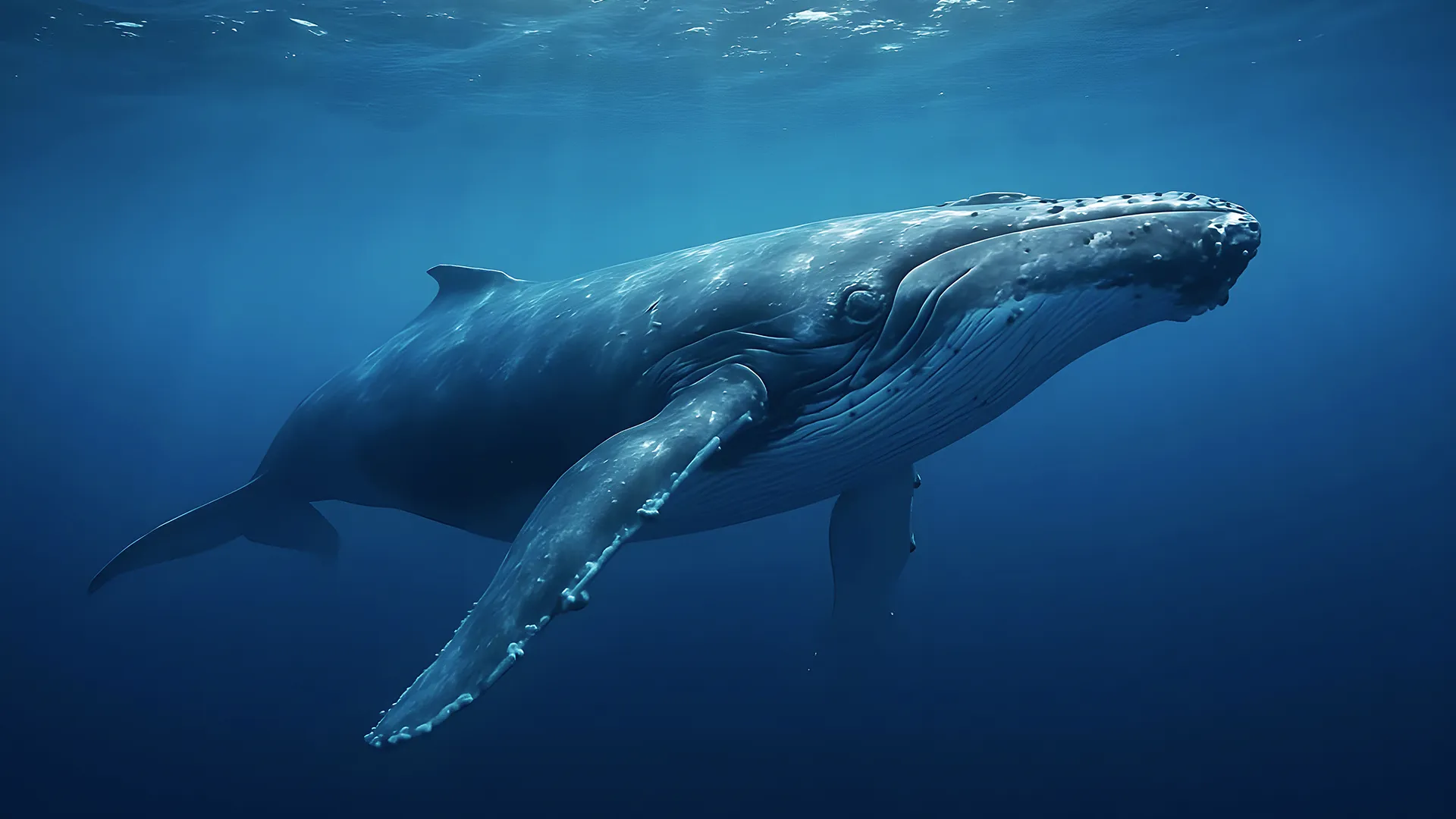 Satellite tracking of 12,000 marine animals reveals ocean giants are in trouble