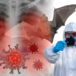 Scientists warn of bat virus just one mutation from infecting humans