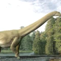 What a dinosaur ate 100 million years ago—Preserved in a fossilized time capsule