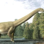 What a dinosaur ate 100 million years ago—Preserved in a fossilized time capsule