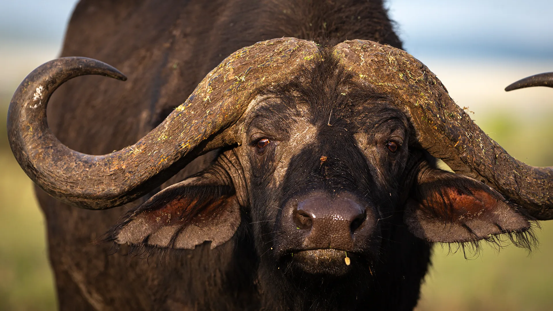 Why past mass extinctions didn't break ecosystems—But this one might