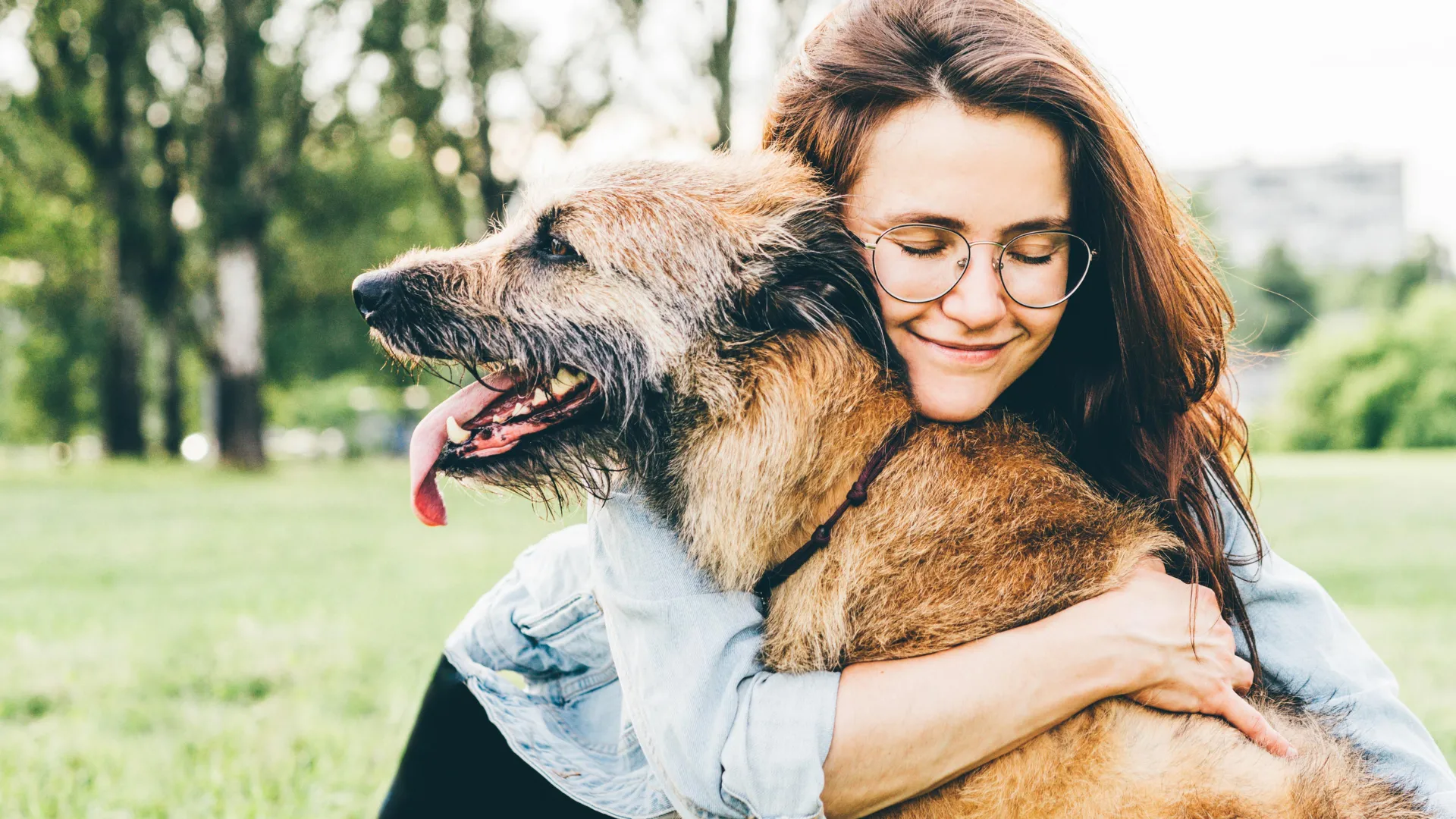 Do dogs know who’s kind? Scientists put it to the test—and got a surprise