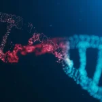 The fatal mutation that lets cancer outsmart the human immune system