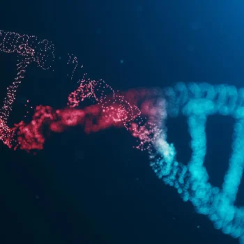 The fatal mutation that lets cancer outsmart the human immune system