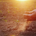 The secret motor protein that slams leaf pores shut—and saves crops