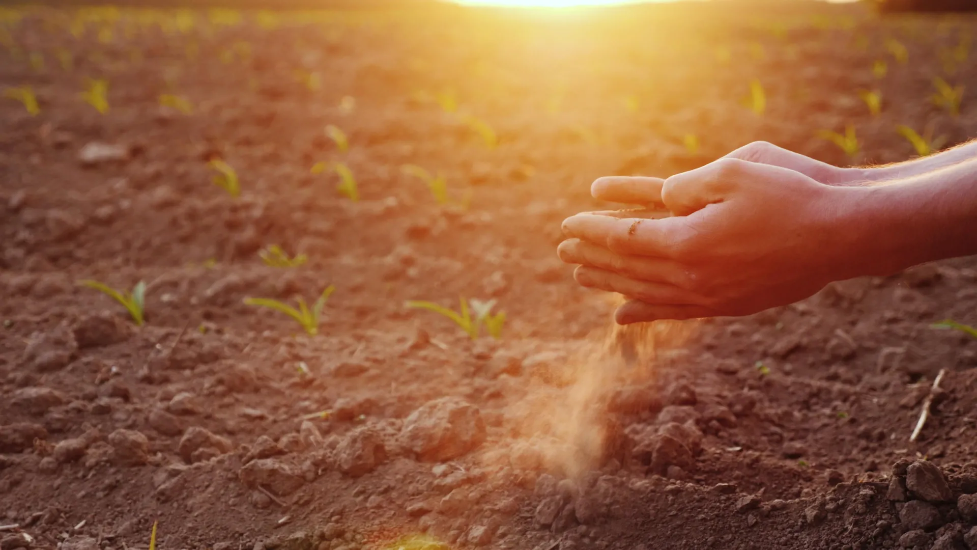 The secret motor protein that slams leaf pores shut—and saves crops