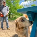 These dogs are trained to sniff out an invasive insect—and they're shockingly good at it