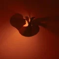 Whispers in the womb: How cells “hear” to shape the human body