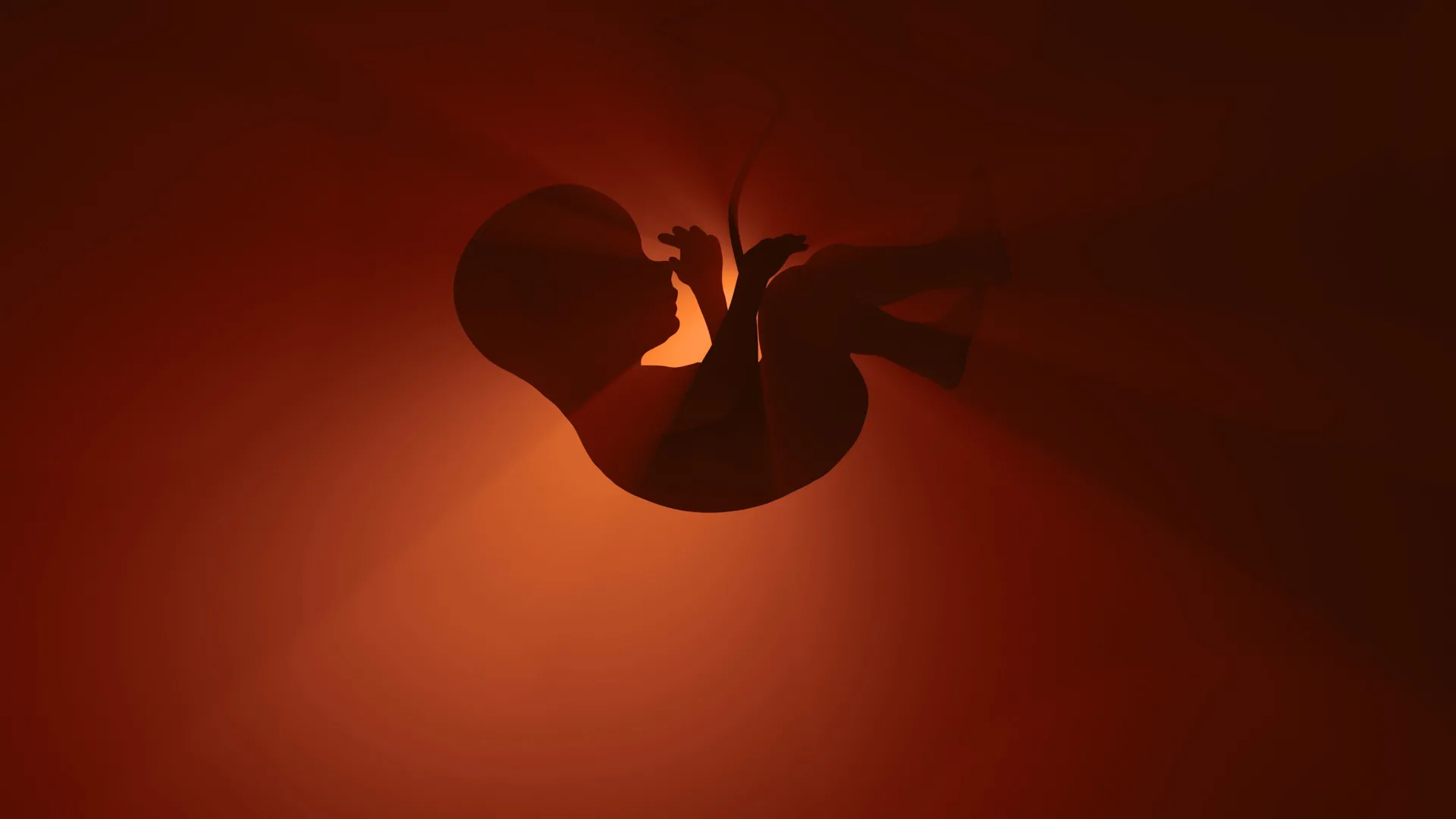 Whispers in the womb: How cells “hear” to shape the human body