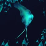 500-million-year-old “squid” were actually ferocious worms