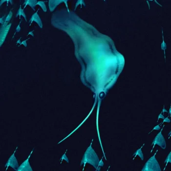 500-million-year-old “squid” were actually ferocious worms