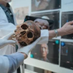 Extinct human relatives left a genetic gift that helped people thrive in the Americas