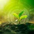 How AI is supercharging plant immunity to fight deadly bacteria