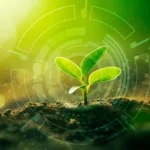 How AI is supercharging plant immunity to fight deadly bacteria