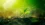 How AI is supercharging plant immunity to fight deadly bacteria