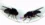 One gene completely changed how these flies fall in love