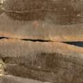 Scientists just uncovered three ancient worlds frozen beneath Illinois for 300 million years