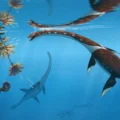 Scientists reexamine 47-year-old fossil and discover a new Jurassic sea monster