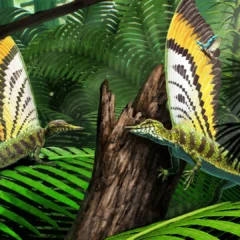 Stunning “wonder reptile” discovery rewrites the origins of feathers