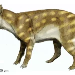 This prehistoric predator survived global warming by eating bones