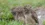 Your nature photo might be a scientific breakthrough in disguise