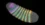 A tiny embryo fold changed the course of evolution