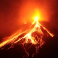 A volcano erased an island’s plants. Their DNA revealed how life starts over