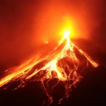 A volcano erased an island’s plants. Their DNA revealed how life starts over