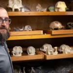 Ancient fossils in Ethiopia rewrite the first chapter of human evolution