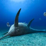 Fossils in germany reveal a Jurassic sea monster with a swordfish snout