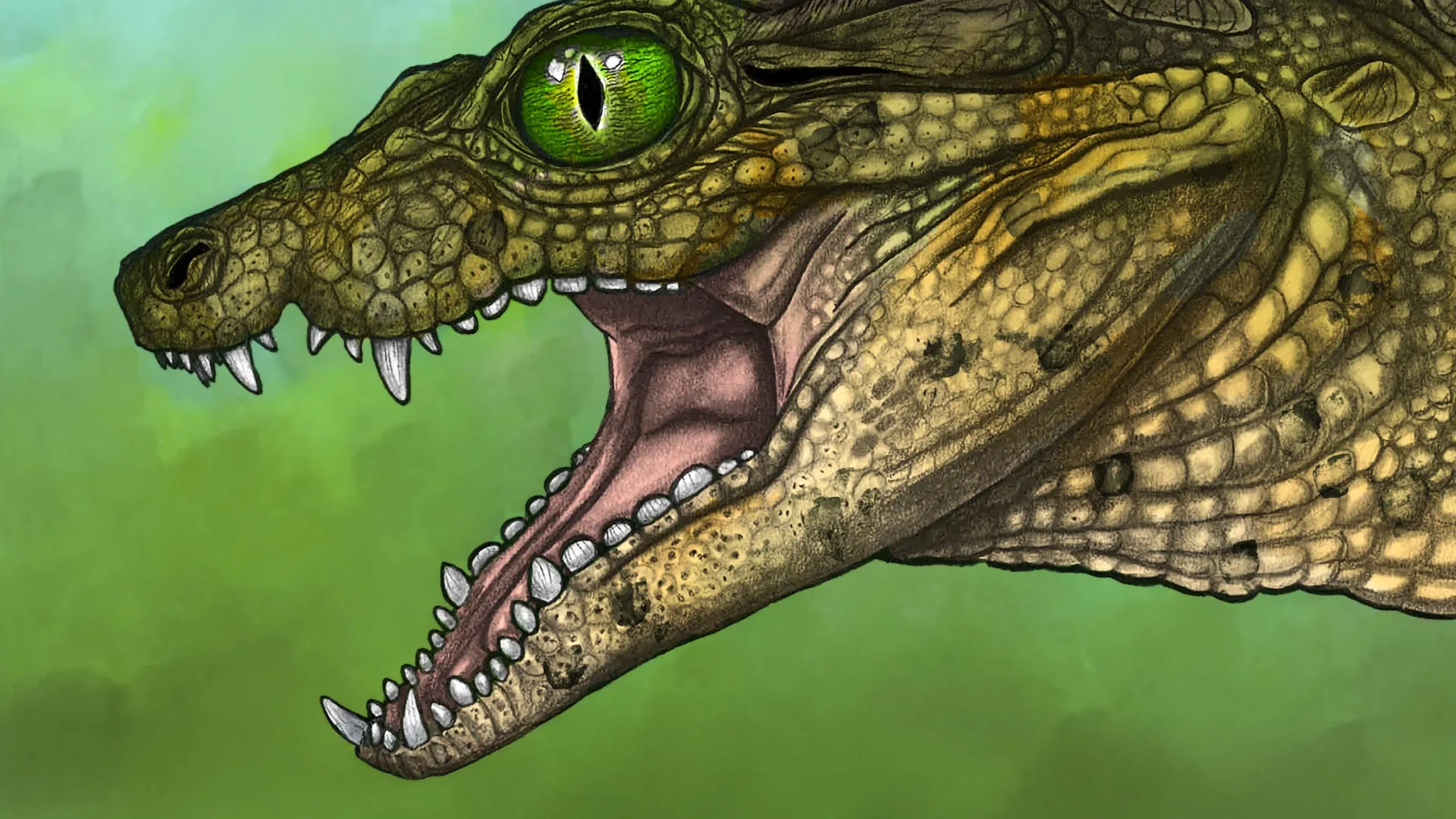 Student’s pinkie-sized fossil reveals a new croc species