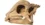 Stunning fossil from the Gobi Desert rewrites dinosaur history