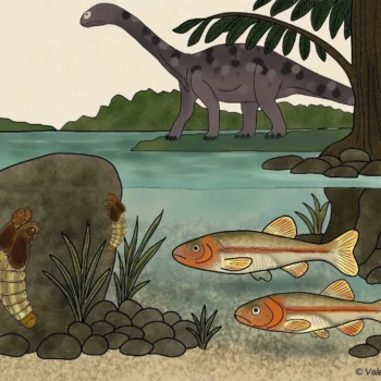 A 151-million-year-old fly just changed what we know about evolution