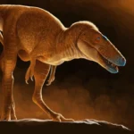 Before T. rex, there was the “dragon prince”